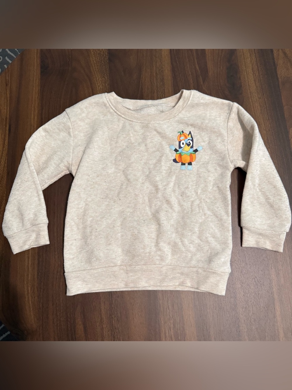 Boys bluey Halloween sweatshirt